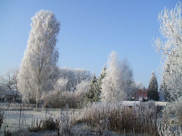Winter-Garten 1/2008
