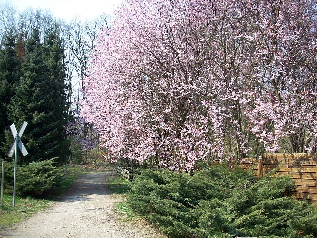 Weg an der Bahn